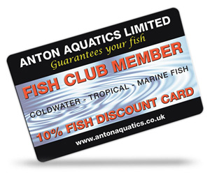 Amwell Aquatics Limited