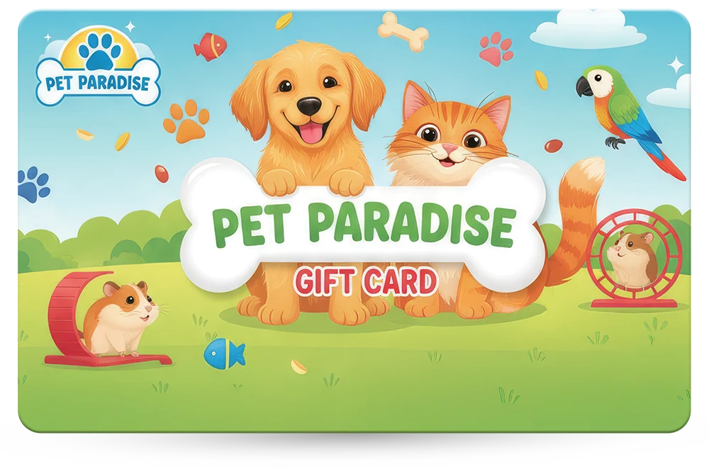 Gift Card Example 55