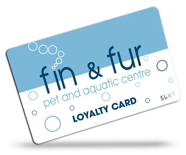 Mplex Computer Centre