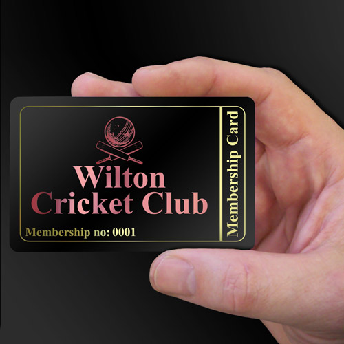 Wilton Cricket Club