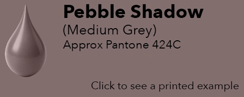 Medium grey - Approx Pantone: 424C