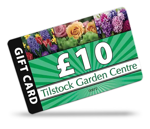 examples to give you ideas and inspiration