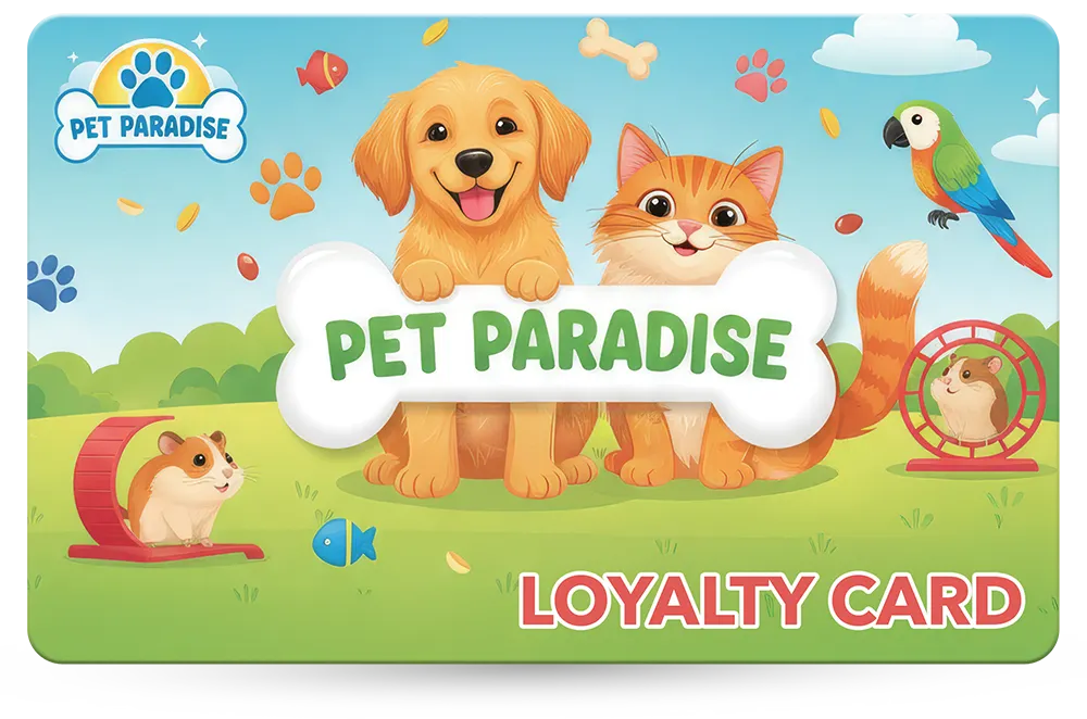 Loyalty Card Example 55