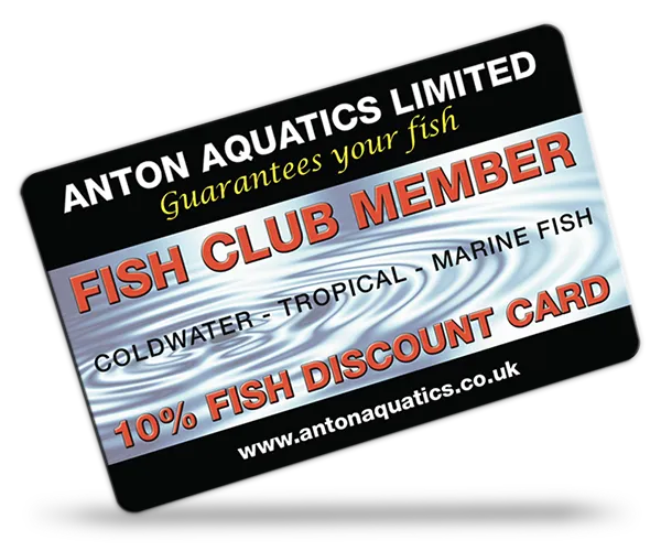 Amwell Aquatics Limited