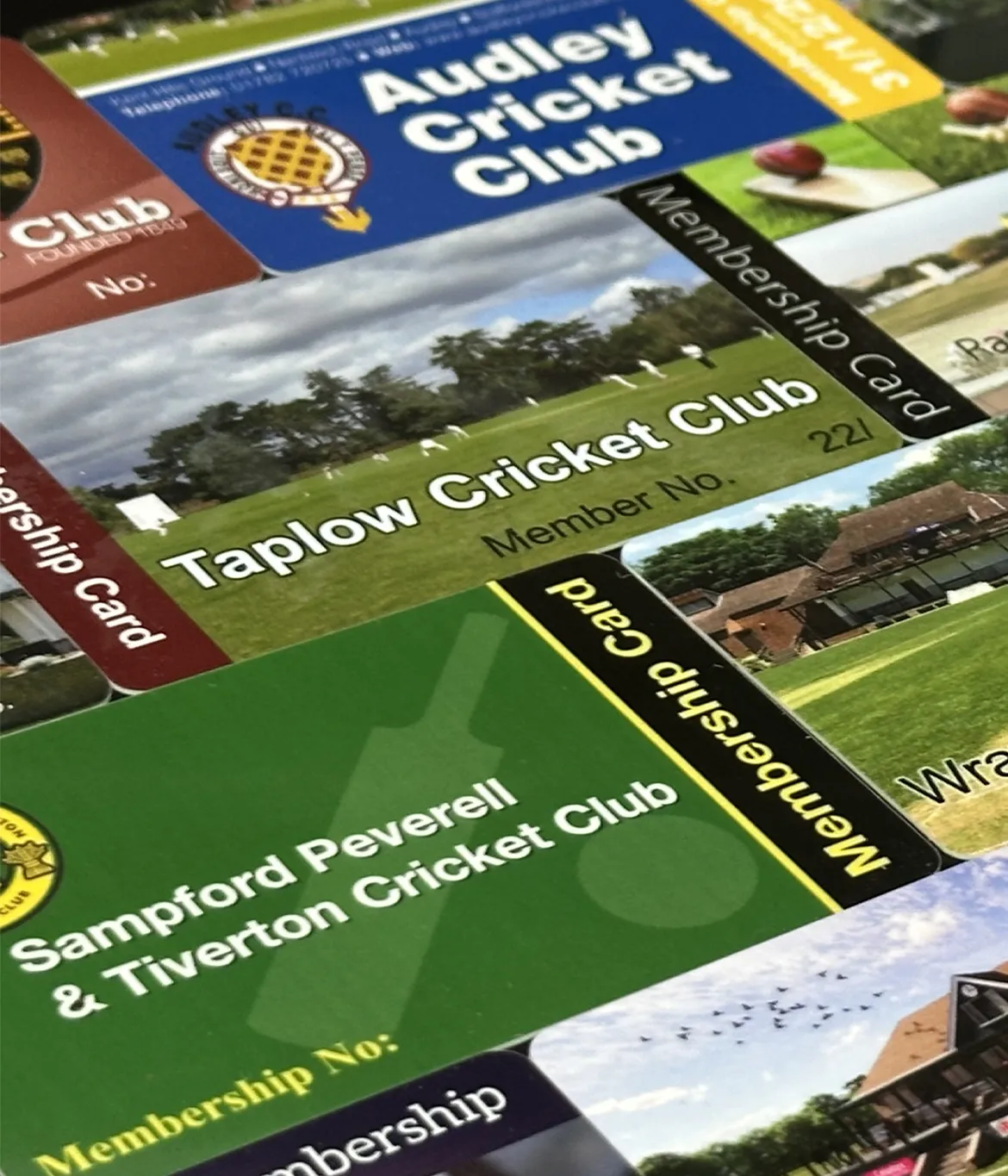 cricket club membership cards printed